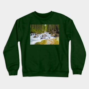 Prut river Crewneck Sweatshirt